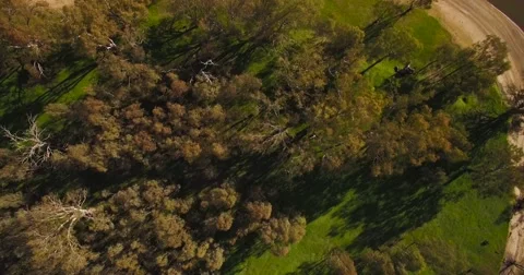 Murray River Australia Stock Footage 66524002