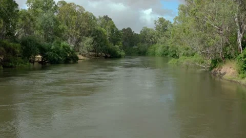 The Murray river in Australia Stock Footage 146409035