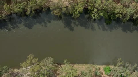 The Murray river in Australia Stock Footage 146409176