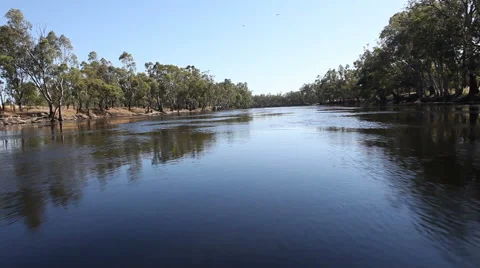 Murray River Australia HD Vidéo 44621098