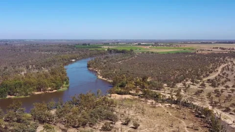 Murray river in Australian outback riverina region agriculture gem aerial 4k. Stock Footage 169254582