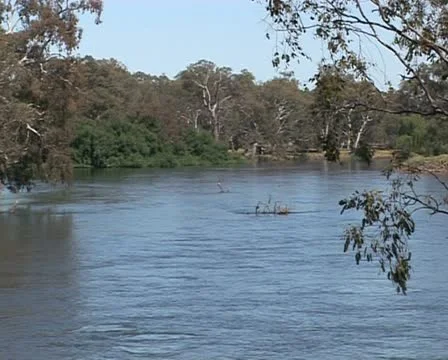 Murray river, NSW, Australia Stock Footage 21459486
