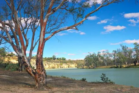 Murray river Stock Photos