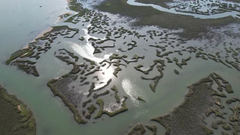 Murrell's Inlet Marsh Stock Footage 154482109