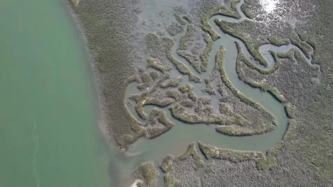 Murrell's Inlet Top Down Marsh Stock Footage 154482107