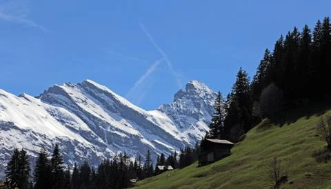 Murren Chalets Stock Photos