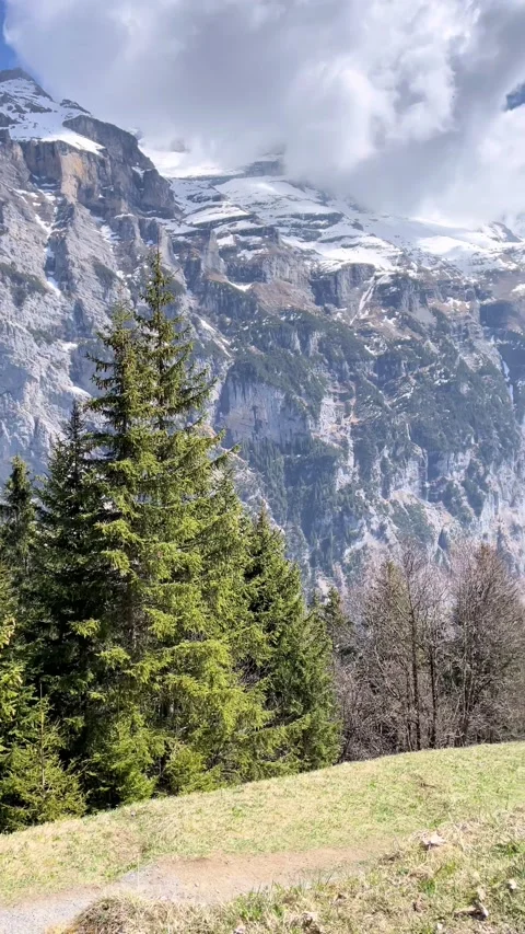 Mürren. Vidéo 209442219