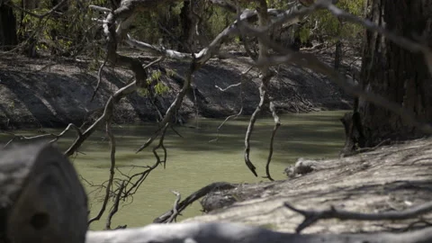 Murrumbidgee River NSW Stock Footage 235883936