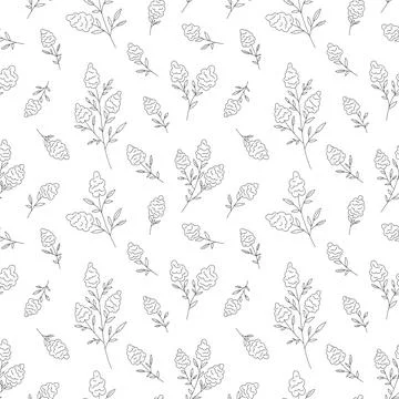 Muscari grape hyacinth seamless pattern black line Stock Illustration