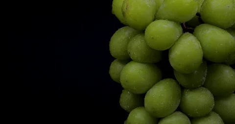 Muscat Grapes. Stock Footage 135789349