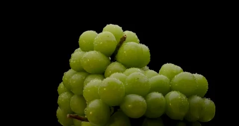 Muscat Grapes Stock Footage 154904902