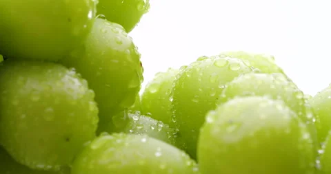 Muscat grapes. Stock Footage 155033480