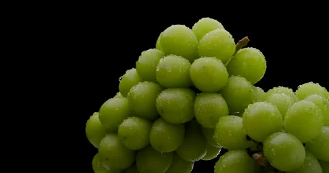 Muscat Grapes Stock Footage 159036926