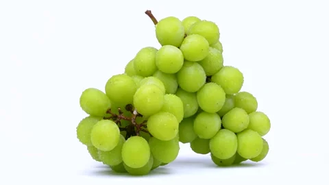 Muscat grapes Видео 335740053