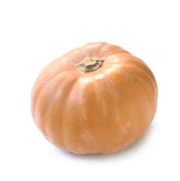 Muscat Pumpkin Stock Photos
