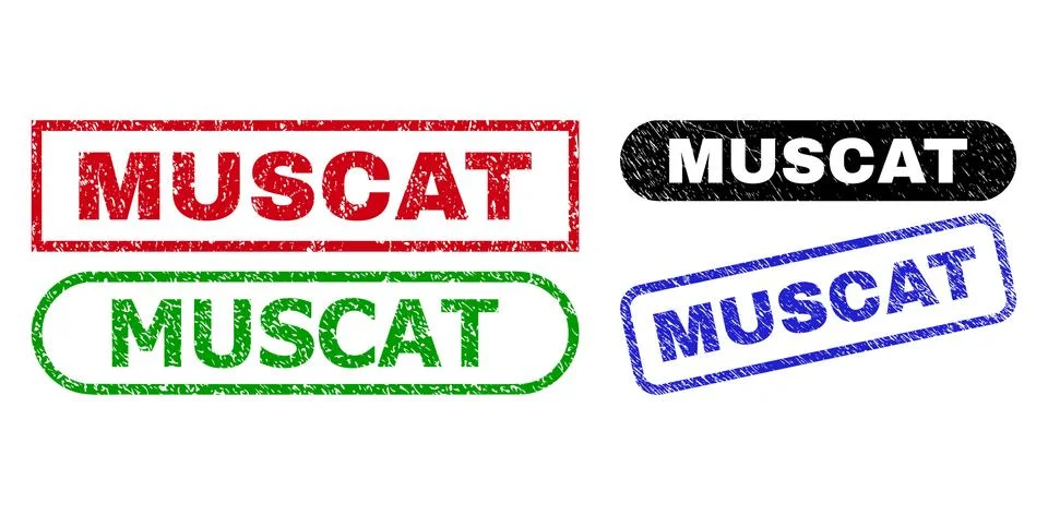 MUSCAT Rectangle Watermarks Using Scratched Style Stock Illustration