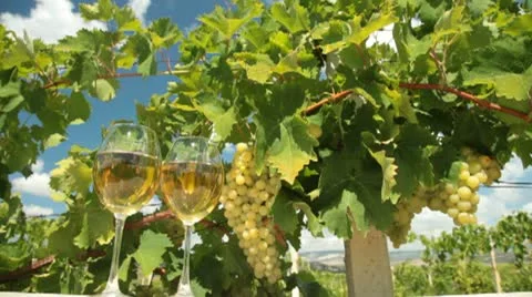 Muscat White Wine Glasses Stock Footage