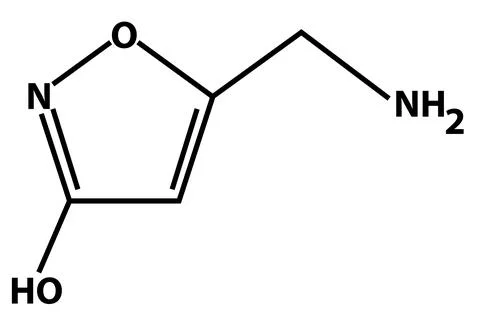 Muscimol hydrochloride icon. Main psychoactive component of fly agaric Stock Illustration