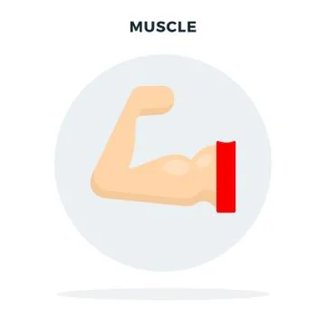 Muscle on the arm in a gray circle vector flat isolated Stock Illustration