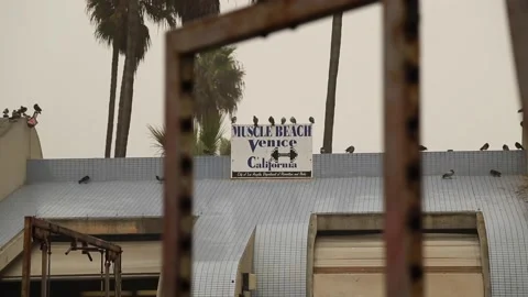 Muscle Beach Sign Stock Footage 143579306