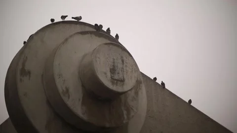 Muscle Beach Structure Closeup Stock-Footage 143579235