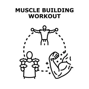 Muscle building workout concept preparing body fitness Stock Illustration