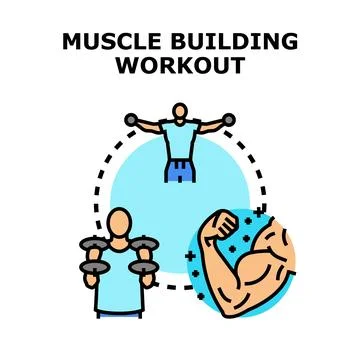 Muscle building workout concept preparing body fitness Illustration