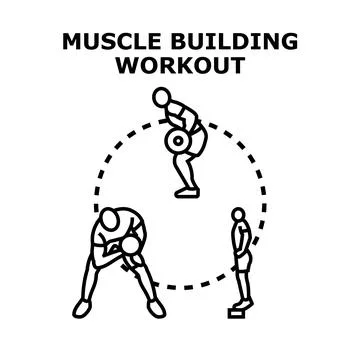 Muscle building workout training program exercise concept 库存插图