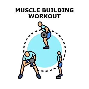 Muscle building workout training program exercise concept Stock Illustration