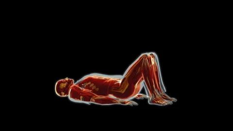 Muscle Dead Bug Core Exercise Side View Overlay Stock Footage 335878140