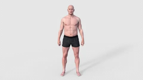Muscle Animation Stock Videos – Royalty-Free HD & 4K Videos | Pond5
