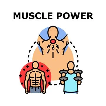 Muscle power development training and injury recovery concept Stock Illustration
