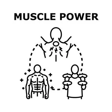 Muscle power development training and injury recovery concept Stock Illustration