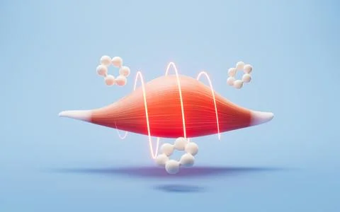Muscle structure, medical concept visualization, 3d rendering. Stock Illustration