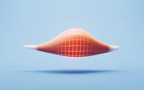 Muscle structure, medical concept visualization, 3d rendering. Stock Illustration