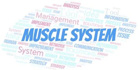 Muscle System typography vector word cloud. Stock Illustration