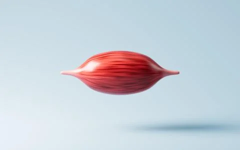 Muscle tissue of the human arm, 3d rendering. Stock Illustration