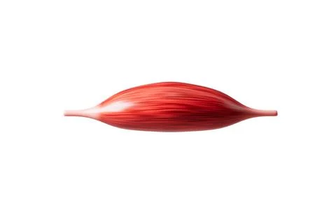 Muscle tissue of the human arm, 3d rendering. Stock Illustration
