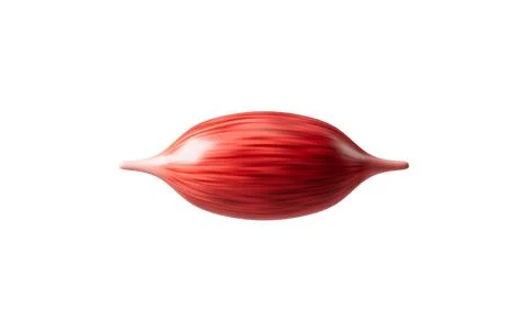 Muscle tissue of the human arm, 3d rendering. Stock Illustration