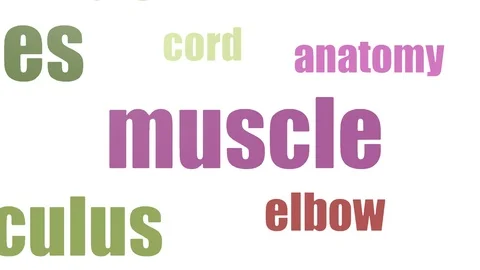 Muscle Word Cloud Animated Isolated Stock Footage 107212336
