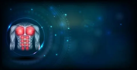 Muscles of the torso backdrop Illustrazione stock