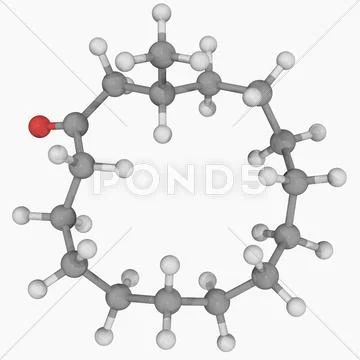 Muscone molecule Stock Illustration