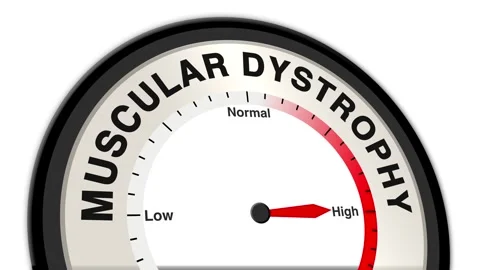 Muscular dystrophy Text or Word Level Low Normal High - Barometer Stock Footage 308610538