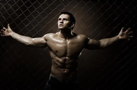 Muscular  guy Stock Photos