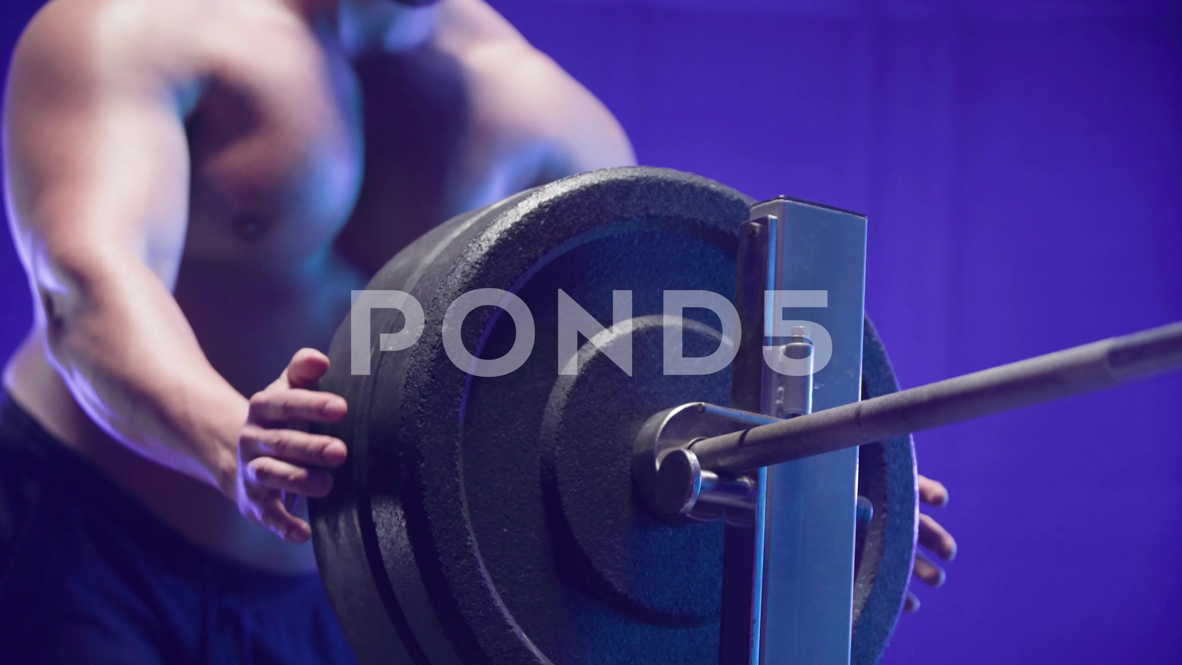 Muscular male bodybuilder with naked torso stringing round black weights  onto