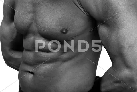 Muscular male torso Stock Photos