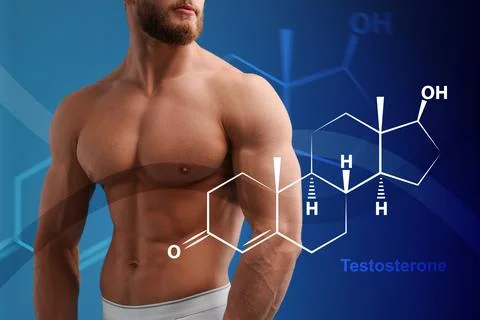 Muscular man and structural formula of testosterone on blue background, close Stock Photos