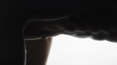 Muscular Man Bodybuilder. Man Posing On A White Background, Shows His Muscles Stock Footage 128346565