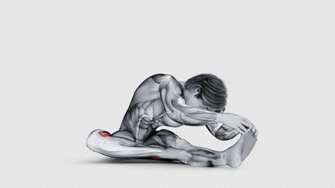 Muscular man character with dimensional shadow training Hamstrings Stretch Stock Footage 251012863