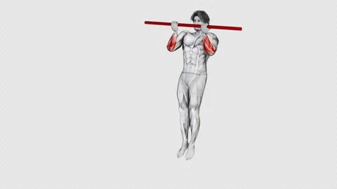 Muscular man character doing Pull-up exercise - 3d render Stock Footage 251013338